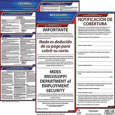 JJ KELLER 200MS3 Labor Law Poster Fed/STA MS SP 20inH 3yr