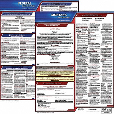 JJ KELLER 200MT3 Labor Law Poster Fed/STA MT SP 20inH 3yr