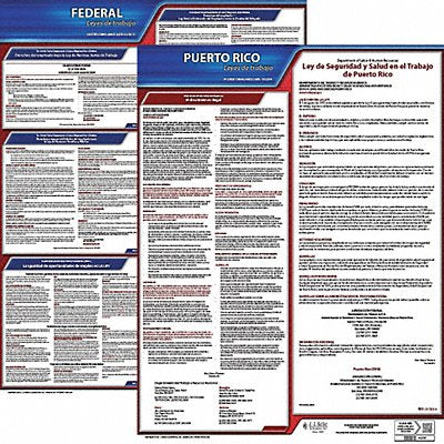 JJ KELLER 200PR1 Labor Law Poster Fed/STA PR SP 20inH 1yr