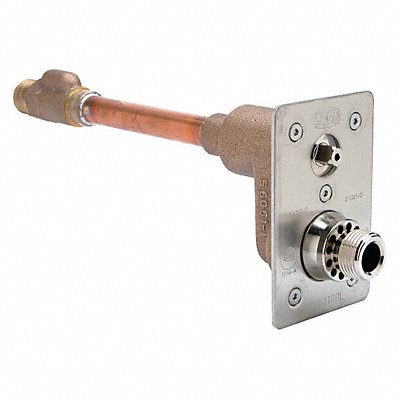 ZURN Z1321CXL6 Wall Hydrant 6 in.