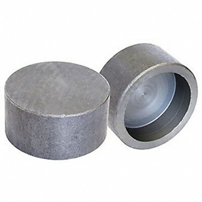 ANVIL 362086605 Round Cap Forged Steel 4 in Class 3000