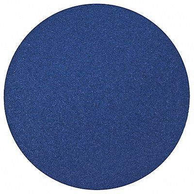 NORTON 66261138317 J1134 PSA Sanding Disc 10 in Dia 80 G