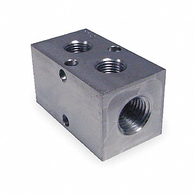 PNEUMADYNE INC M202502SS Manifold SS 2Outlets 2.13 L