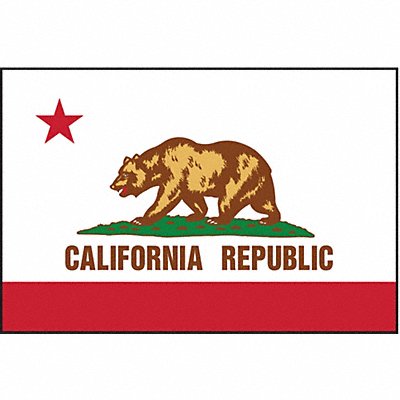 ANNIN FLAGMAKERS 140460 D3761 California State Flag 3x5 Ft