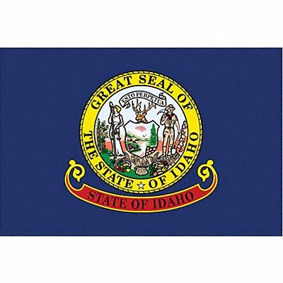 ANNIN FLAGMAKERS 141360 D3761 Idaho State Flag 3x5 Ft
