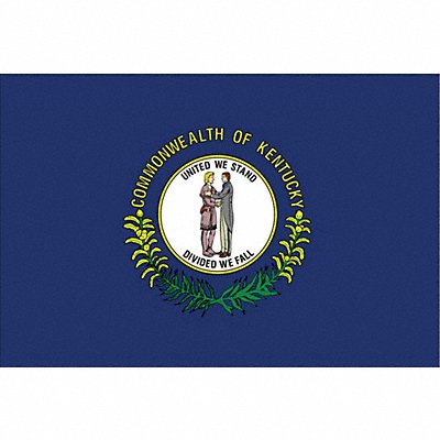 ANNIN FLAGMAKERS 141960 D3761 Kentucky State Flag 3x5 Ft