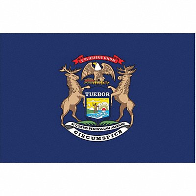 ANNIN FLAGMAKERS 142660 D3761 Michigan State Flag 3x5 Ft
