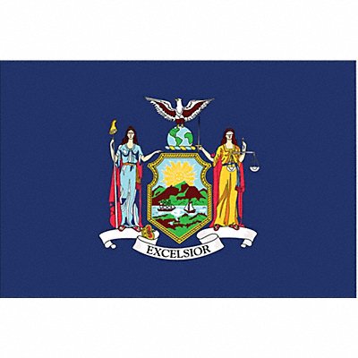 ANNIN FLAGMAKERS 143860 D3761 New York State Flag 3x5 Ft