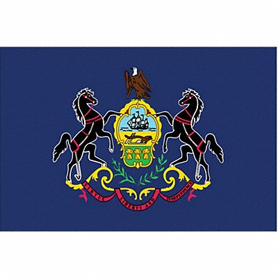 ANNIN FLAGMAKERS 144660 D3761 Pennsylvania State Flag 3x5 Ft