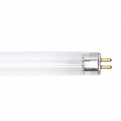 GE LAMPS F8T5CW Fluorescent 8 W T5 Miniature Bi-Pin (G5)