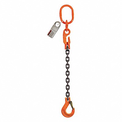 PEWAG 10G100SOSXK10 Chain Sling 3/8 in Size G100 10 ft L SOS