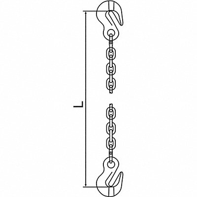 PEWAG 10G120SGG5 Chain Sling 3/8 in Size G120 5 ft L SGG