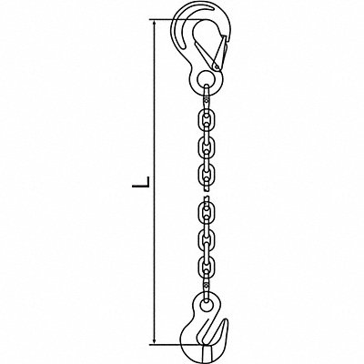 PEWAG 10G120SSG10 Chain Sling 3/8 in Size G120 10 ft L SGS