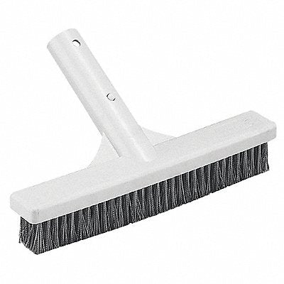 GRAINGER 2ZTY4 Algae Brush SS 18 In L