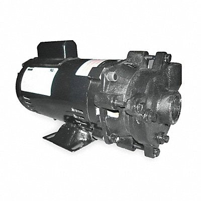 DAYTON 2ZWP7 Pump 1-1/2 HP 1 Ph 120/208 to 240VAC