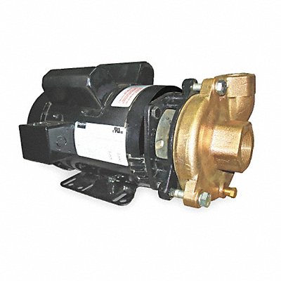 DAYTON 2ZWT4 Pump 2 HP 1 Ph 120/208 to 240VAC