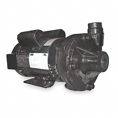 DAYTON 2ZXN6 Pump 2 HP 1 Ph 120/240VAC