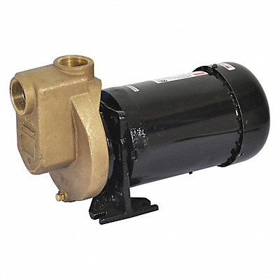 DAYTON 2ZXR1 Self Priming Pump 3/4 HP Bronze