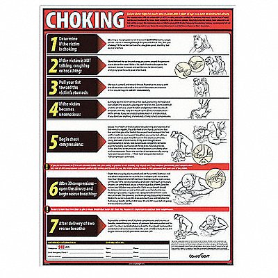 COMPLYRIGHT WR0236 Choking Poster English