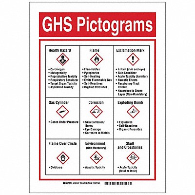 BRADY 133167 GHS Sign 14in. H x 10in. W Fiberglass