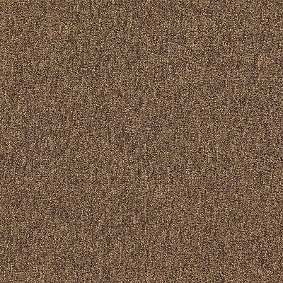 GRAINGER 31HL69 Carpet Tile 19-11/16in. L Coffee PK20
