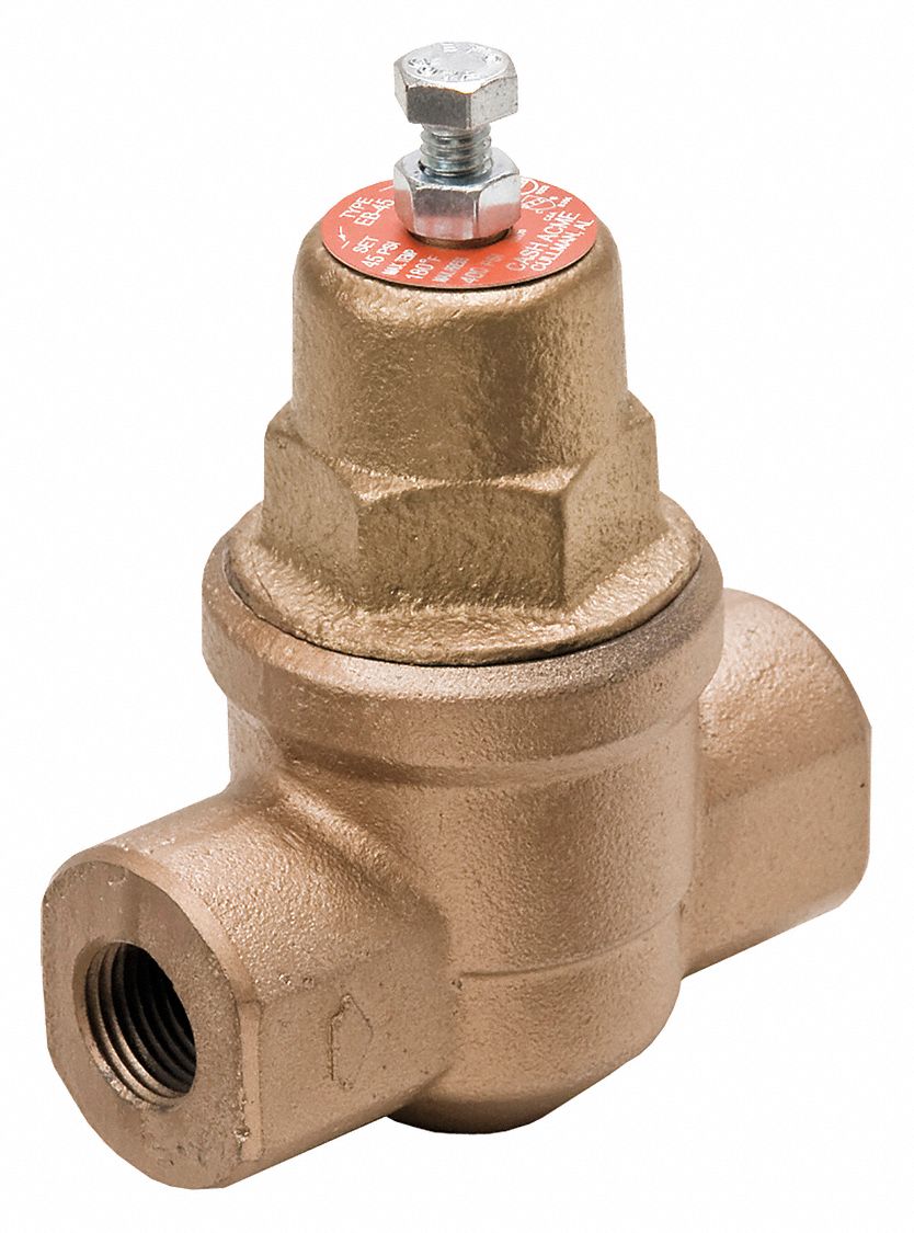 CASH ACME 229990045 Pressure Regulator 1/2in. NPT 300 psi