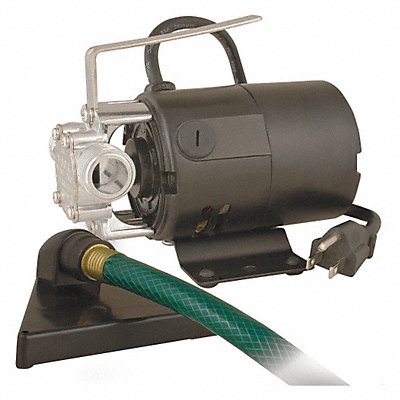 FLINT WALLING 23817 Utility Pump 6 ft 120V AC