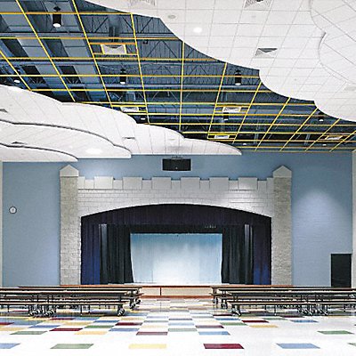 ARMSTRONG 1732AD Ceiling Tile 24 in L 24 in W PK16
