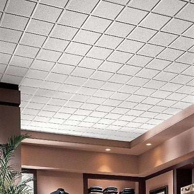 ARMSTRONG 2722B Ceiling Tile 48 in L 24 in W PK10