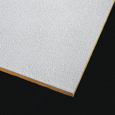ARMSTRONG 2989 Ceiling Tile 48 in L 24 in W PK10