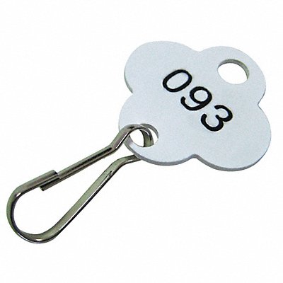 GRAINGER 33J881 Key Tag Numbered 201 to 300 PK100
