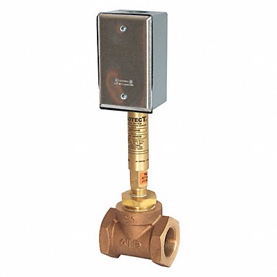 GUARDIAN EQUIPMENT AP275615 Flow Switch Copper