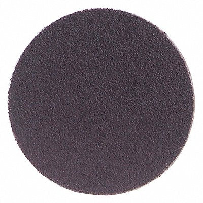 NORTON 66261136630 PSA Sanding Disc 12 in Dia 40 G