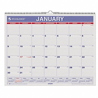 AT-A-GLANCE AAGPM828 Monthly Wall Calendar 15x12 In Red/Blue