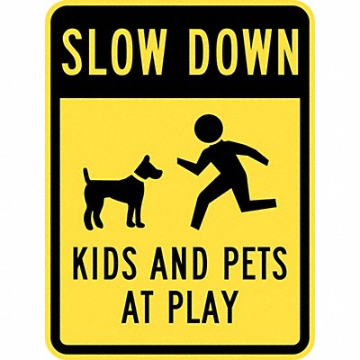 LYLE T11027HI18x24 Kids and Pets at Play Sign 24 x 18