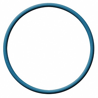 DETECTO 112BunaFDABuzXR X-Ray O-Ring Dash 112 Buna N 0.1 In.