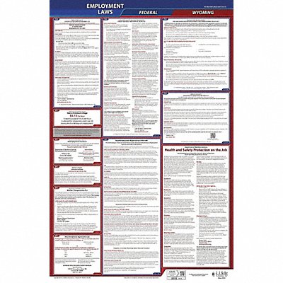 JJ KELLER 300WY1 LaborLaw Poster Fed/STA WY ENG 26inH 1yr