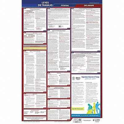JJ KELLER 400DE3 Labor Law Poster Fed/STA DE SP 26inH 3yr