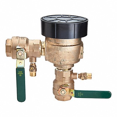 WATTS 114LF800M4FR Backflow Preventer Size 1 1/4 150 psi