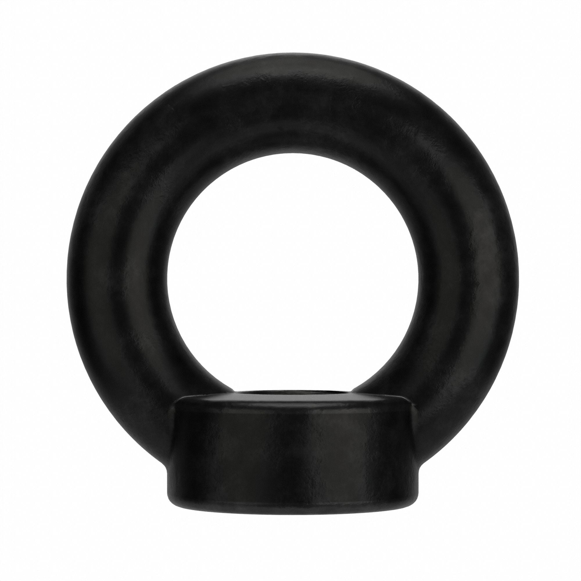 GRAINGER M161001400001 Lift Eye BltBlack Oxide Stl M14-2.0 54mm 10PK