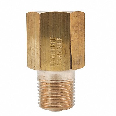WINTERS SSN512LF Pressure Snubber Lead Free 1/2in.x1/2in.