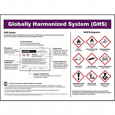 ACCUFORM SP125163L GHS Poster 17 in x 22 in Plastic