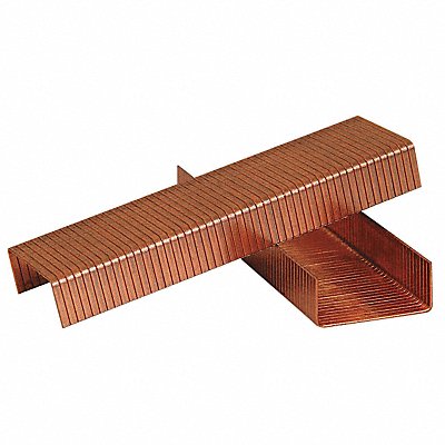 WESTWARD 3A529 Carton Staples Coil A Crown PK25000