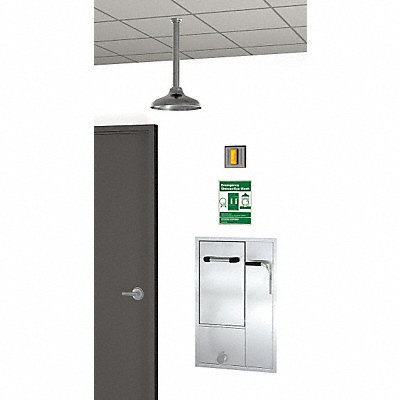 GUARDIAN EQUIPMENT GBF2152 Drench Shower With Face/Eyewash Silver