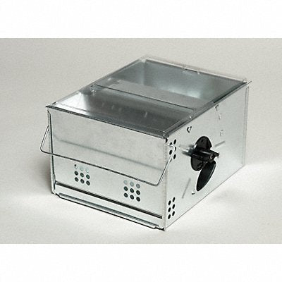 KETCH-ALL 1010023 Mouse Trap 19 in H