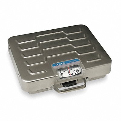 TAYLOR TR250 General Purpose Utility Bench Scale