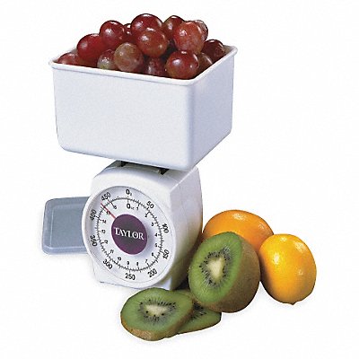 TAYLOR 37204014T Dial Scale Plastic 1 lb Weight Cap. Whte