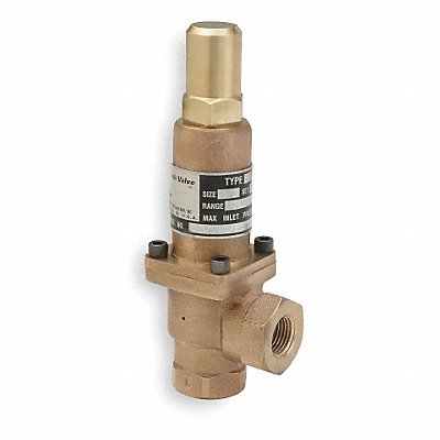 CASH VALVE K10EWA01E10050 Pressure Relief Valve 1 In 50 psi Bronze