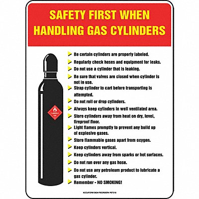 ACCUFORM SP124489L Safety Poster 22 in x 17 in Plastic