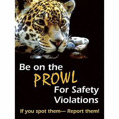 ACCUFORM SP124513L Safety Poster 22 in x 17 in Plastic
